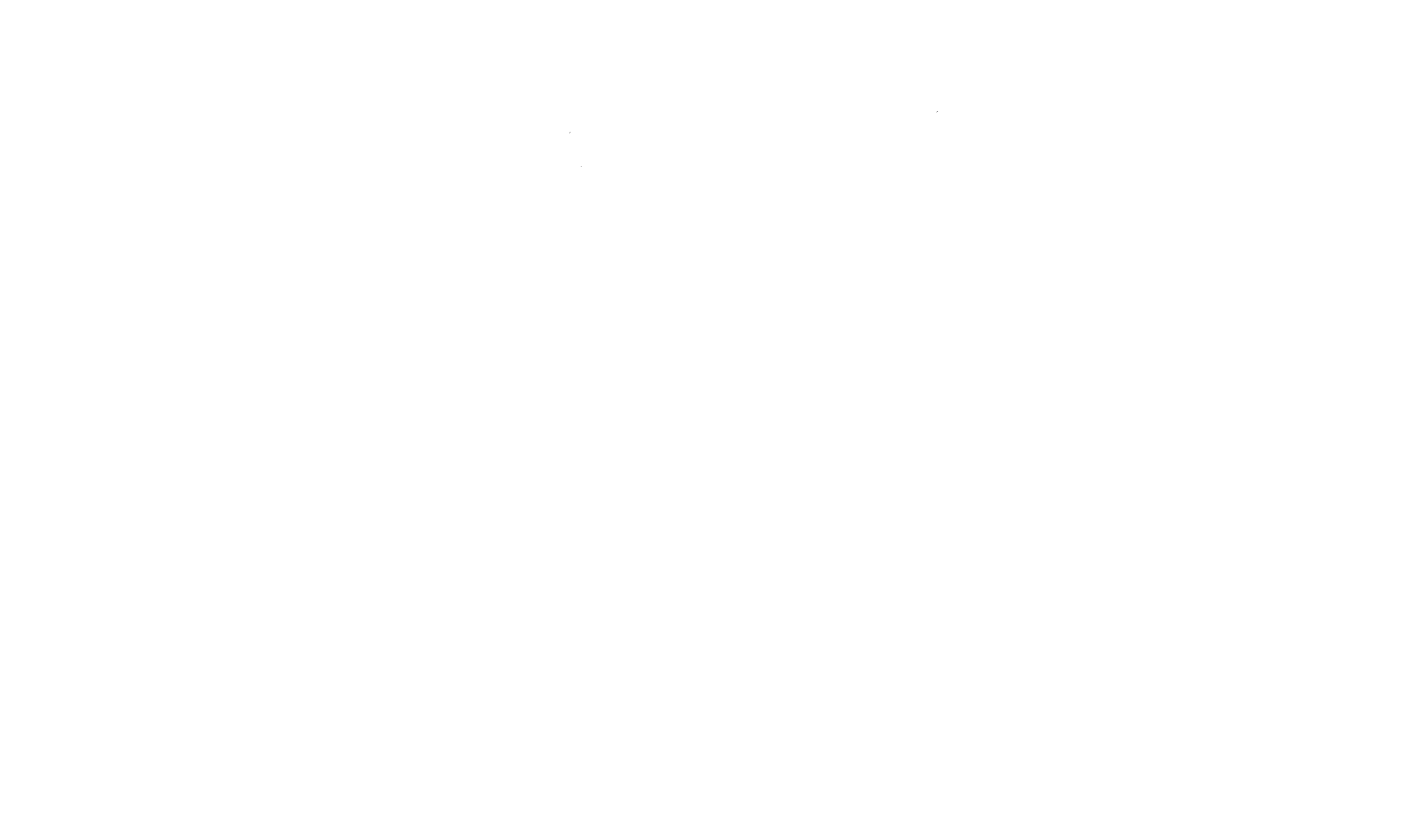 Gong_fu_blanco